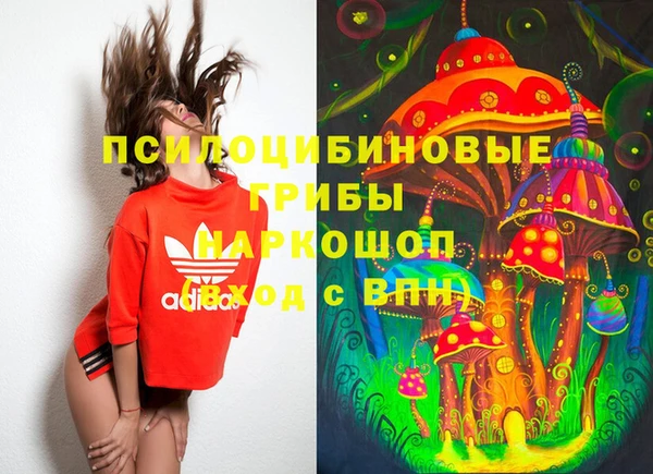 гидра Осинники