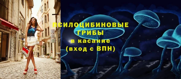 гидра Осинники