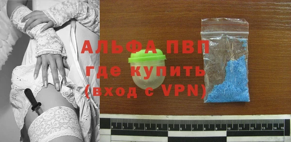 гидра Осинники