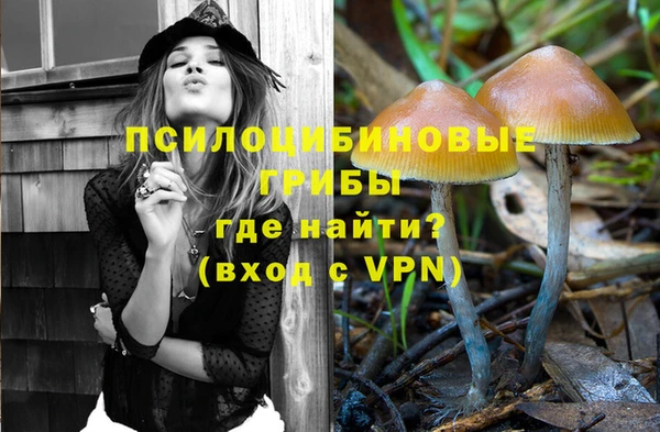тгк Осташков