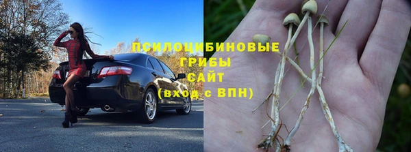 гидра Осинники