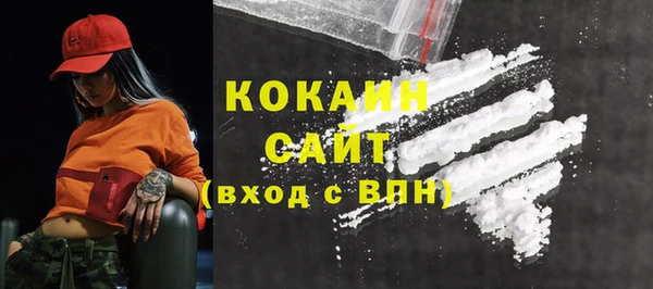 гидра Осинники