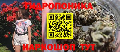 не бодяженный Канаш