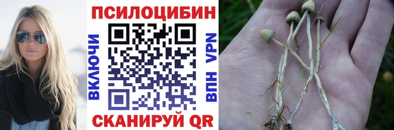 даркнет сайт  Светлоград  Псилоцибиновые грибы мухоморы 