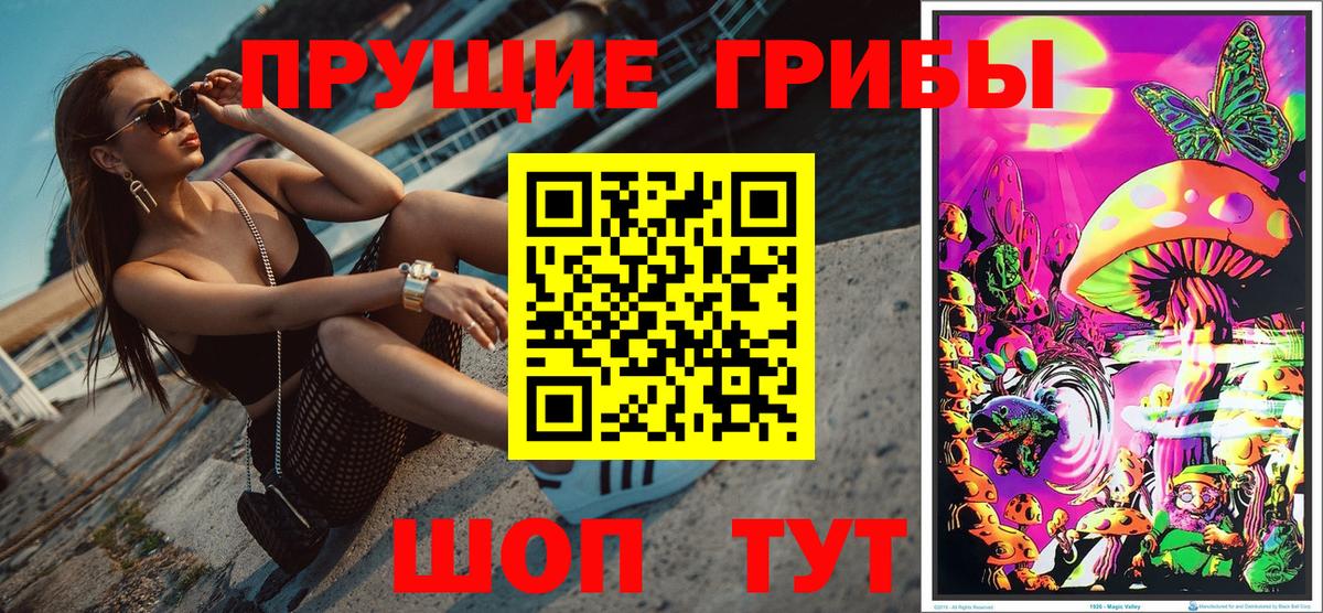 купить закладку  Светлоград  Псилоцибиновые грибы Psilocybe  Псилоцибиновые грибы Psilocybine cubensis 