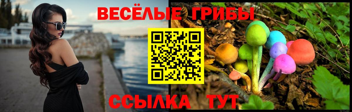 Светлоград  Галлюциногенные грибы Psilocybe  Галлюциногенные грибы Psilocybine cubensis  Вход с VPN 